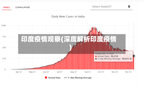 印度疫情观察(深度解析印度疫情)
