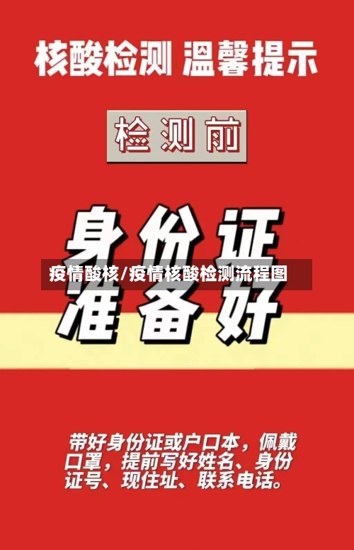 疫情酸核/疫情核酸检测流程图