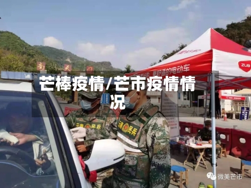 芒棒疫情/芒市疫情情况-第3张图片