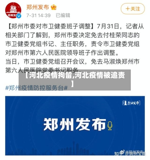 【河北疫情拘留,河北疫情被追责】