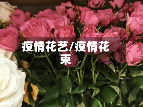 疫情花艺/疫情花束-第1张图片