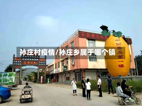 孙庄村疫情/孙庄乡属于哪个镇-第2张图片