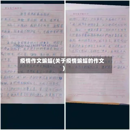 疫情作文蝙蝠(关于疫情蝙蝠的作文)