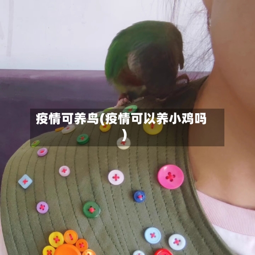 疫情可养鸟(疫情可以养小鸡吗)-第3张图片