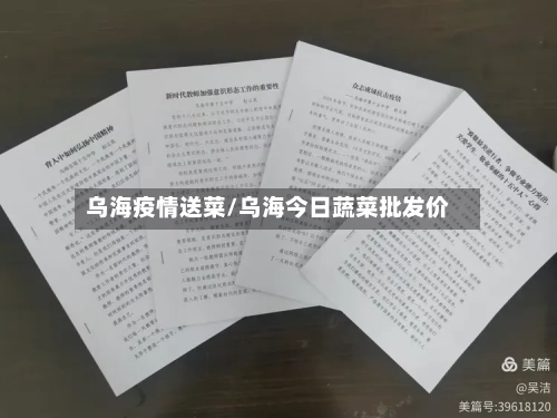 乌海疫情送菜/乌海今日蔬菜批发价-第1张图片