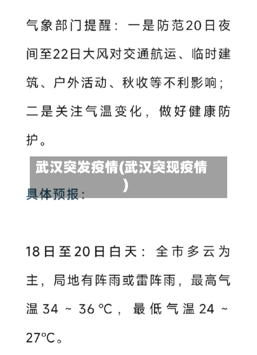 武汉突发疫情(武汉突现疫情)