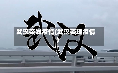 武汉突发疫情(武汉突现疫情)-第3张图片
