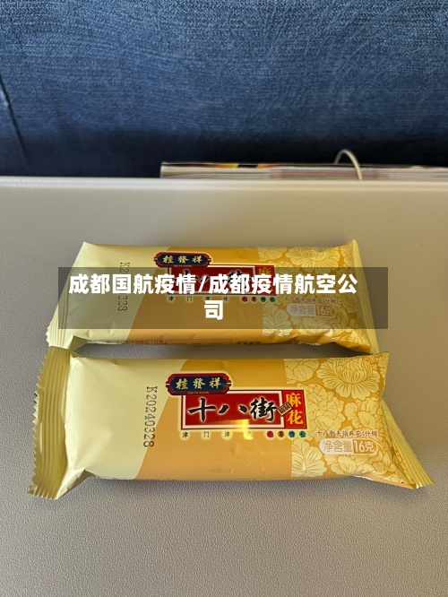 成都国航疫情/成都疫情航空公司-第2张图片