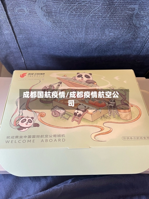 成都国航疫情/成都疫情航空公司-第1张图片