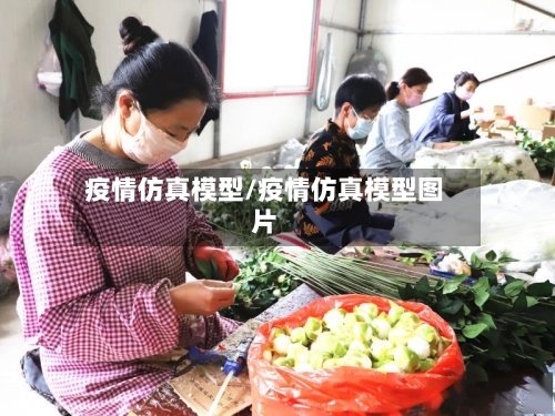 疫情仿真模型/疫情仿真模型图片