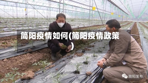 简阳疫情如何(简阳疫情政策)