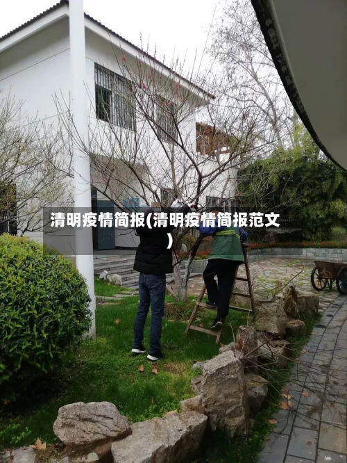 清明疫情简报(清明疫情简报范文)-第1张图片