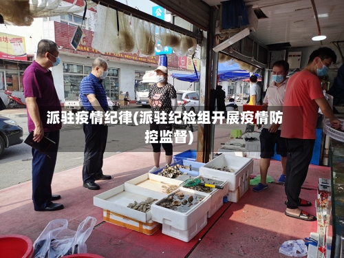 派驻疫情纪律(派驻纪检组开展疫情防控监督)-第1张图片