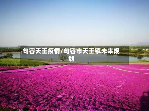 句容天王疫情/句容市天王镇未来规划