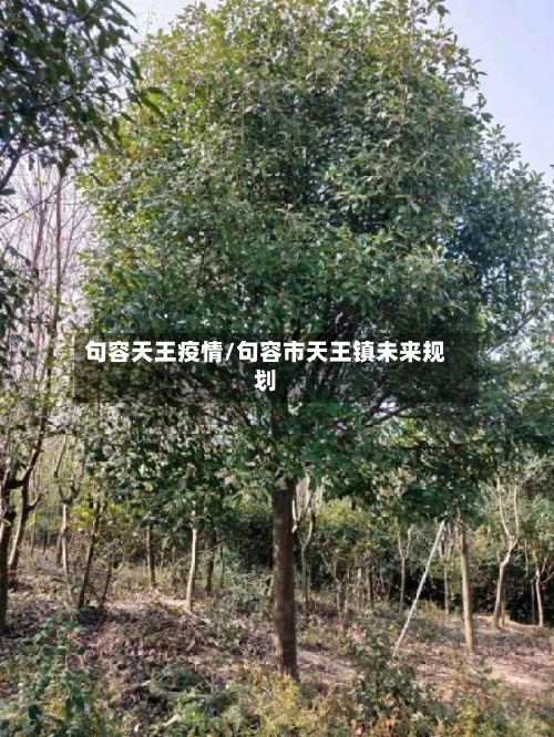 句容天王疫情/句容市天王镇未来规划-第2张图片