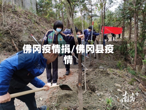 佛冈疫情捐/佛冈县疫情