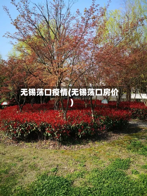 无锡荡口疫情(无锡荡口房价)-第2张图片