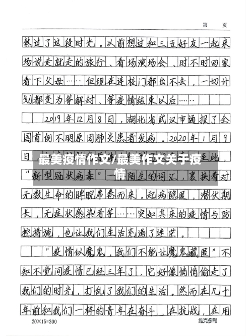 最美疫情作文/最美作文关于疫情-第2张图片