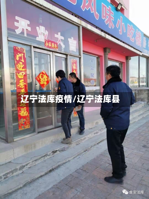 辽宁法库疫情/辽宁法库县