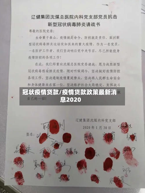 冠状疫情贷款/疫情贷款政策最新消息2020-第2张图片