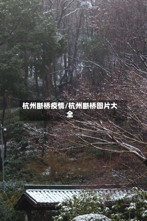杭州断桥疫情/杭州断桥图片大全