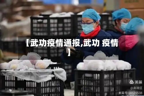 【武功疫情通报,武功 疫情】