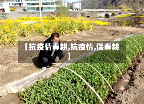 【抗疫情春耕,抗疫情,保春耕】
