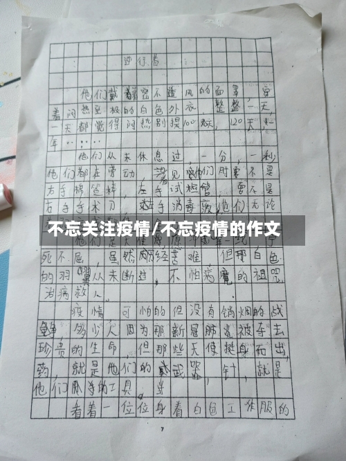 不忘关注疫情/不忘疫情的作文-第2张图片