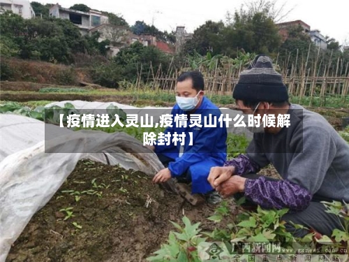 【疫情进入灵山,疫情灵山什么时候解除封村】-第3张图片