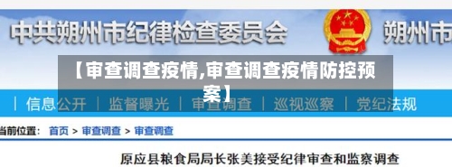 【审查调查疫情,审查调查疫情防控预案】-第2张图片