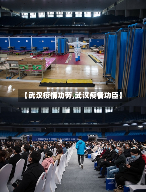 【武汉疫情功劳,武汉疫情功臣】