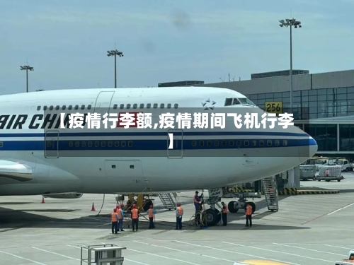 【疫情行李额,疫情期间飞机行李】