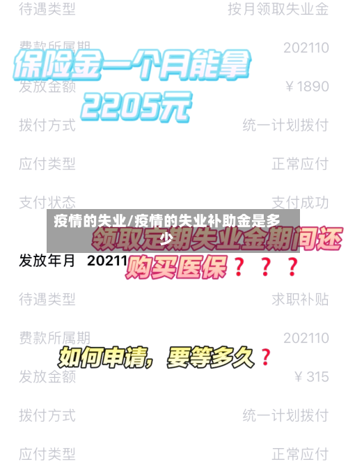 疫情的失业/疫情的失业补助金是多少
