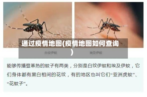 通过疫情地图(疫情地图如何查询)-第1张图片