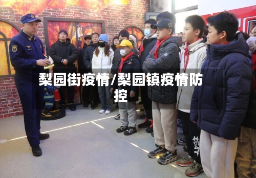 梨园街疫情/梨园镇疫情防控