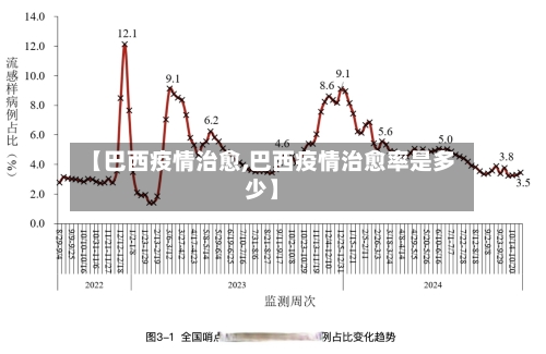 【巴西疫情治愈,巴西疫情治愈率是多少】