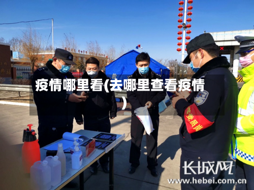 疫情哪里看(去哪里查看疫情)