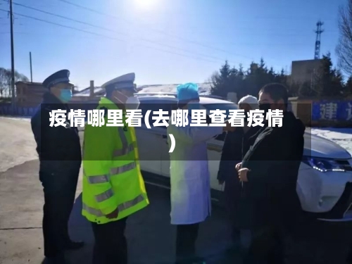 疫情哪里看(去哪里查看疫情)-第2张图片