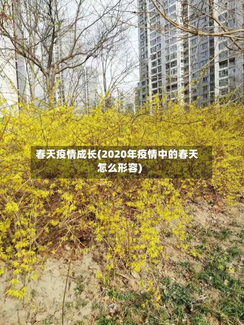 春天疫情成长(2020年疫情中的春天怎么形容)