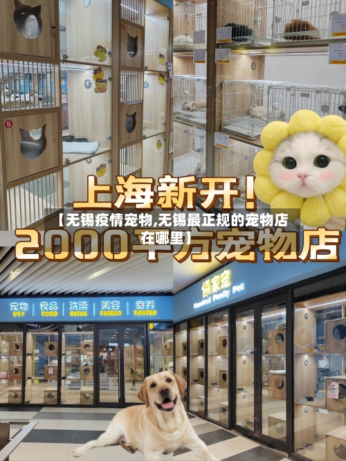 【无锡疫情宠物,无锡最正规的宠物店在哪里】