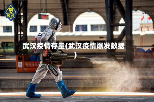 武汉疫情存量(武汉疫情爆发数据)