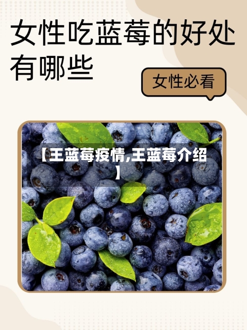 【王蓝莓疫情,王蓝莓介绍】