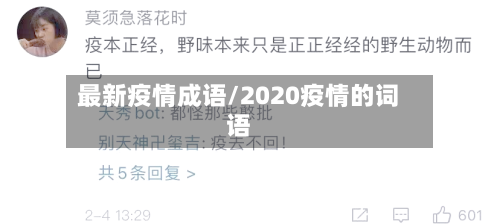 最新疫情成语/2020疫情的词语