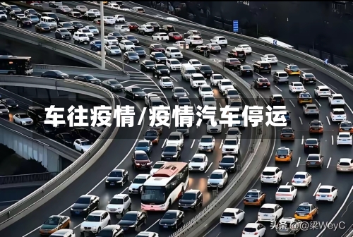 车往疫情/疫情汽车停运