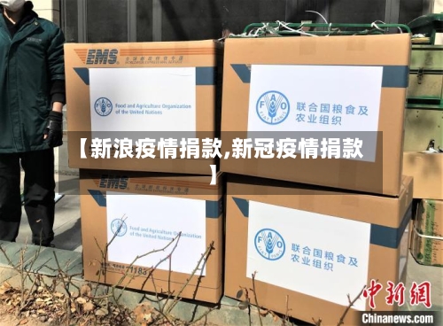 【新浪疫情捐款,新冠疫情捐款】