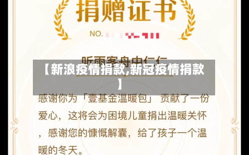 【新浪疫情捐款,新冠疫情捐款】-第2张图片