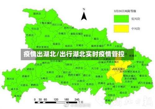 疫情出湖北/出行湖北实时疫情管控