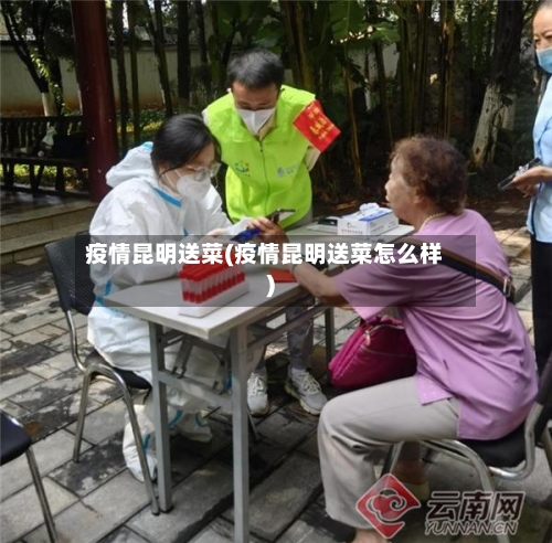 疫情昆明送菜(疫情昆明送菜怎么样)