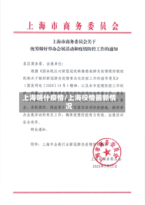 上海喀什疫情/上海役情最新情况-第2张图片