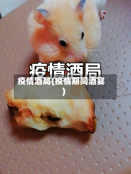 疫情酒局(疫情期间酒宴)